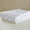 Wonder Wool Down Alternative Blanket -(Twin) White -Laura Ashley Shop GUEST 042b8515 2d24 4982 8f2b 8f22155a9bb5