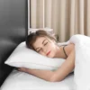 Cheer Collection Luxury Feather Down Sleeping Pillow -Laura Ashley Shop GUEST 37da8625 c47a 43f4 a2f8 560cfa349361
