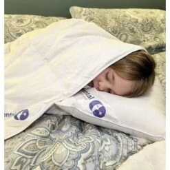 Continental Bedding Toddler Pillow Polyester Filled 13x18 Inch Pack Of 1 -Laura Ashley Shop GUEST a37f0cb9 0448 4ec3 85fa 10905c5bfa5b