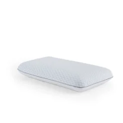 Lucid Queen Soft/Medium Comfort Collection Bamboo Charcoal And Gel Memory Foam Pillow
