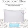East Coast Bedding Down Pillow - White Goose Down & Feather (Standard) 2 East Coast Bedding Down Pillow - White Goose Down & Feather (Standard) -Laura Ashley Shop GUEST cf7df163 ada4 4579 8672 2b54a418b5d6