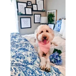 Blue Brooke Comforter Set - POPPY & FRITZ® -Laura Ashley Shop GUEST db3e5b3e 2082 423d 90c7 c1c283b0c225